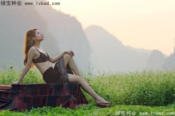 <a href='http://m.wuzhouwash.com/yaocaizhongzi/2336.html' target='_blank'>甜蕎麥</a><a href='http://m.wuzhouwash.com/' target='_blank'>種子</a>