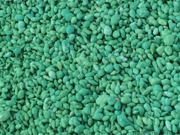<a href='http://m.wuzhouwash.com/shuicaozhongzi/1857.html' target='_blank'>金魚藻種子</a>圖片