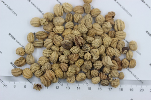 旱金蓮<a href='http://m.wuzhouwash.com/' target='_blank'>種子</a>
