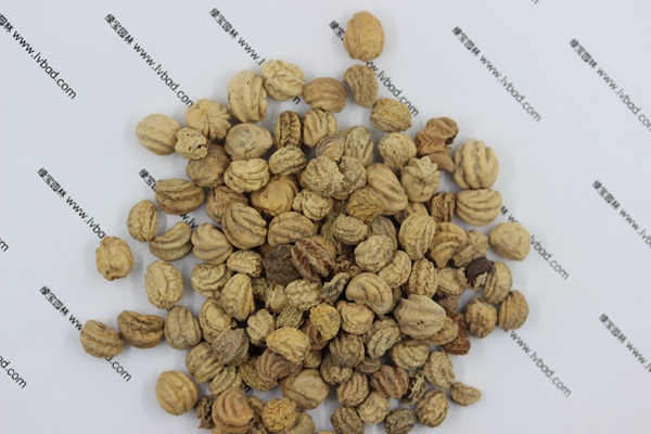 <a href='http://m.wuzhouwash.com/caohuazhongzi/1653.html' target='_blank'>旱金蓮種子</a>