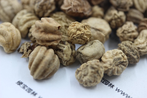 <a href='http://m.wuzhouwash.com/caohuazhongzi/1653.html' target='_blank'>旱金蓮</a><a href='http://m.wuzhouwash.com/' target='_blank'>種子</a>
