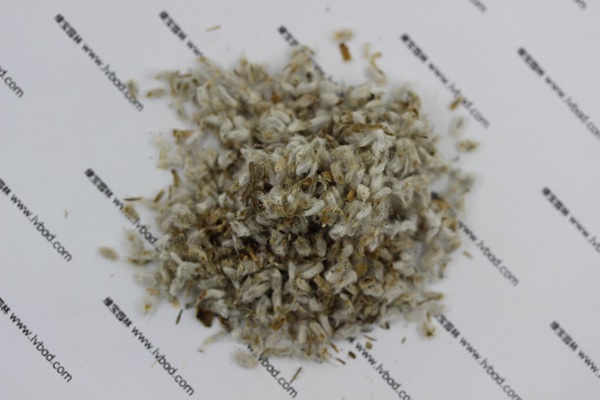 永生菊<a href='http://m.wuzhouwash.com/' target='_blank'>種子</a>