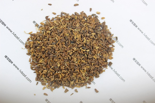 <a href='http://m.wuzhouwash.com/caohuazhongzi/1629.html' target='_blank'>茼蒿菊</a><a href='http://m.wuzhouwash.com/' target='_blank'>種子</a>
