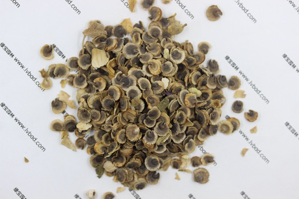 <a href='http://m.wuzhouwash.com/caohuazhongzi/1625.html' target='_blank'>蜀葵</a><a href='http://m.wuzhouwash.com/' target='_blank'>種子</a>