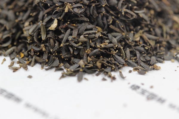 蛇目菊<a href='http://m.wuzhouwash.com/' target='_blank'>種子</a>