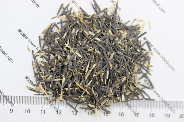 <a href='http://m.wuzhouwash.com/caohuazhongzi/1604.html' target='_blank'>南非萬壽菊種子</a>