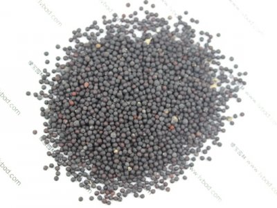 滿(mǎn)天星種子
