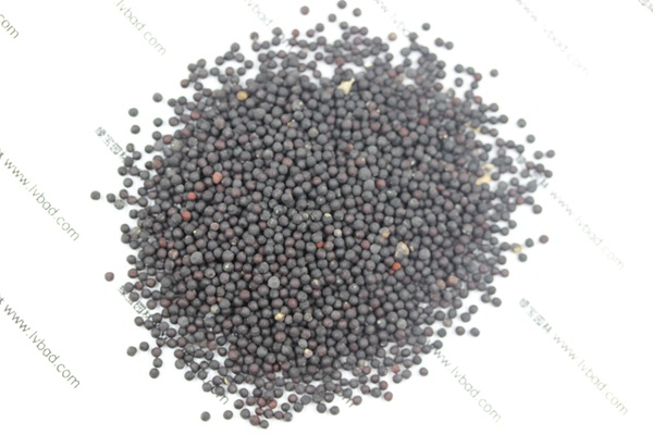 <a href='http://m.wuzhouwash.com/caohuazhongzi/1595.html' target='_blank'>滿天星</a><a href='http://m.wuzhouwash.com/' target='_blank'>種子</a>