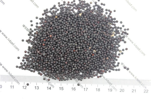 <a href='http://m.wuzhouwash.com/caohuazhongzi/1595.html' target='_blank'>滿天星</a><a href='http://m.wuzhouwash.com/' target='_blank'>種子</a>