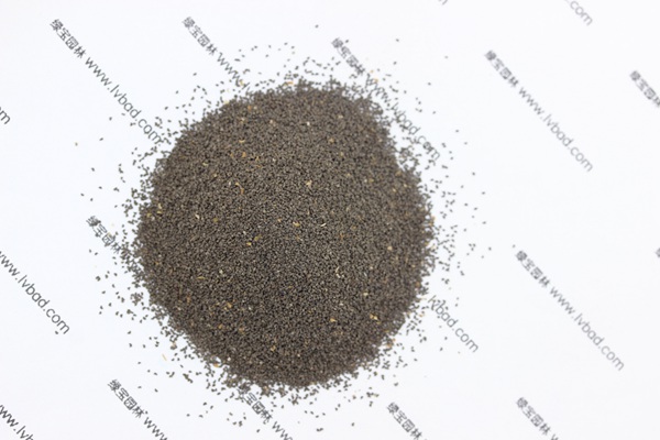 柳穿魚<a href='http://m.wuzhouwash.com/' target='_blank'>種子</a>