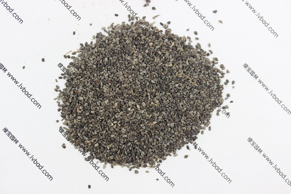 <a href='http://m.wuzhouwash.com/caohuazhongzi/1581.html' target='_blank'>留蘭香薄荷種子</a>