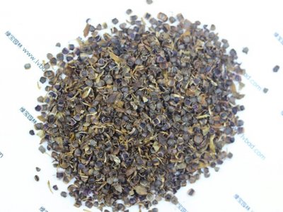 金雞菊種子