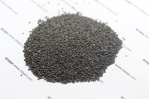 <a href='http://m.wuzhouwash.com/caohuazhongzi/1073.html' target='_blank'>火焰雞冠花種子</a>