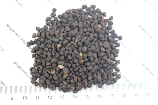 <a href='http://m.wuzhouwash.com/caohuazhongzi/1069.html' target='_blank'>黃花牽牛種子</a>
