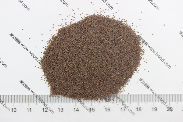 <a href='http://m.wuzhouwash.com/caohuazhongzi/1053.html' target='_blank'>高雪輪種子</a>