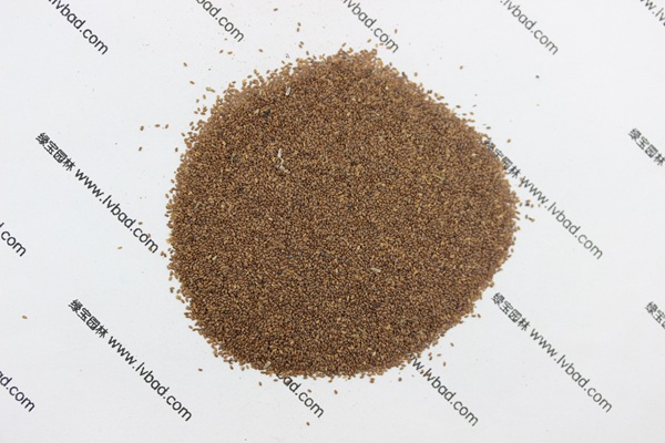 <a href='http://m.wuzhouwash.com/caohuazhongzi/1049.html' target='_blank'>風鈴花</a><a href='http://m.wuzhouwash.com/' target='_blank'>種子</a>