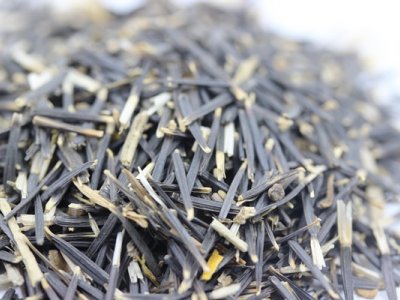 非洲萬(wàn)壽菊種子