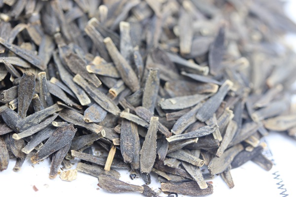 <a href='http://m.wuzhouwash.com/caohuazhongzi/1038.html' target='_blank'>大麗花種子</a>