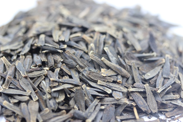 <a href='http://m.wuzhouwash.com/caohuazhongzi/1038.html' target='_blank'>大麗花種子</a>