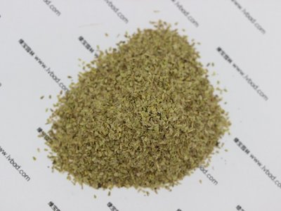 雛菊種子