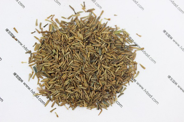 <a href='http://m.wuzhouwash.com/caohuazhongzi/1031.html' target='_blank'>除蟲菊</a><a href='http://m.wuzhouwash.com/' target='_blank'>種子</a>
