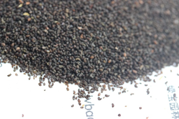 <a href='http://m.wuzhouwash.com/caohuazhongzi/1025.html' target='_blank'>冰島虞美人種子</a>