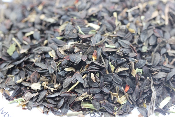 苦麥菜<a href='http://m.wuzhouwash.com/' target='_blank'>種子</a>圖片