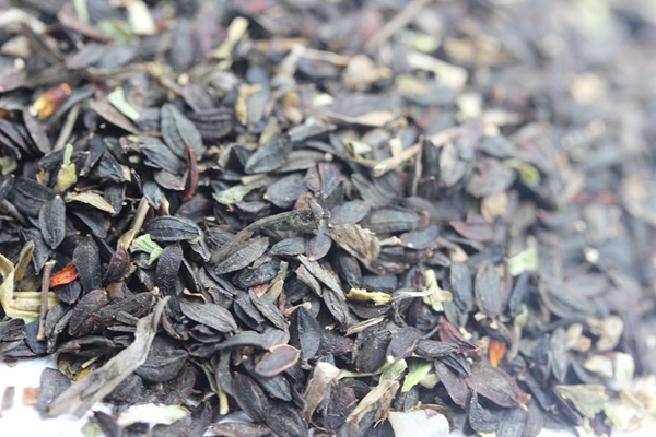苦麥菜<a href='http://m.wuzhouwash.com/' target='_blank'>種子</a>圖片
