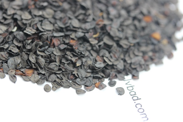 常夏<a href='http://m.wuzhouwash.com/caohuazhongzi/97045.html' target='_blank'>石竹種子</a>