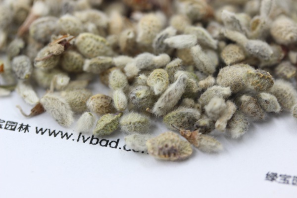 <a href='http://m.wuzhouwash.com/mucaozhongzi/1685.html' target='_blank'>花棒</a><a href='http://m.wuzhouwash.com/' target='_blank'>種子</a>