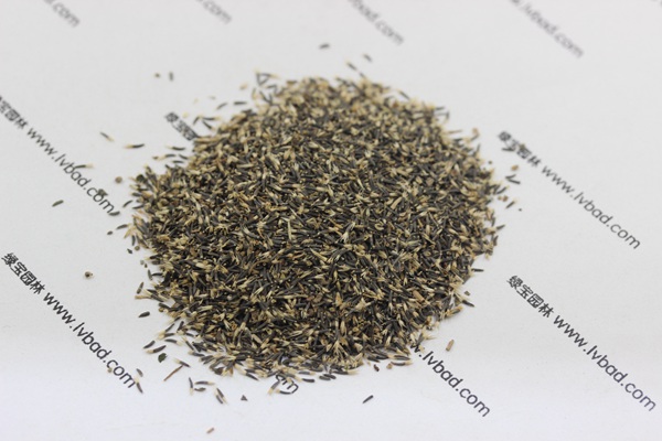 <a href='http://m.wuzhouwash.com/caohuazhongzi/1074.html' target='_blank'>藿香薊種子</a>