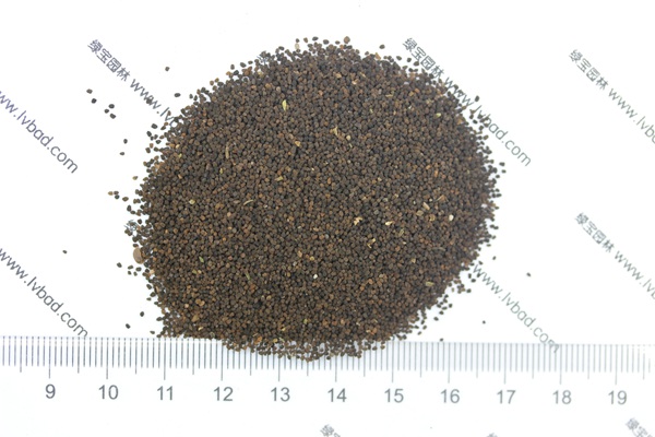 <a href='http://m.wuzhouwash.com/caohuazhongzi/1569.html' target='_blank'>金魚草種子</a>