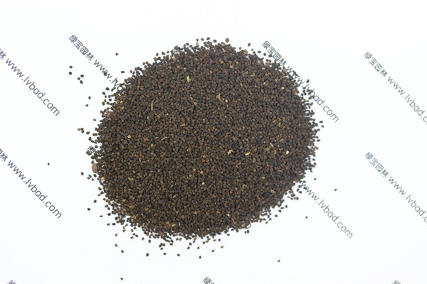 <a href='http://m.wuzhouwash.com/caohuazhongzi/1569.html' target='_blank'>金魚草</a><a href='http://m.wuzhouwash.com/' target='_blank'>種子</a>