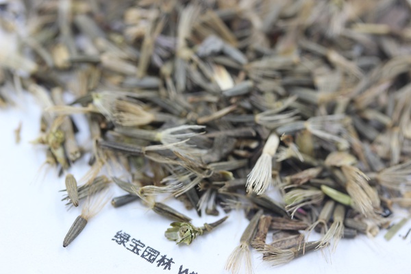 <a href='http://m.wuzhouwash.com/caohuazhongzi/1620.html' target='_blank'>蛇鞭菊種子</a>