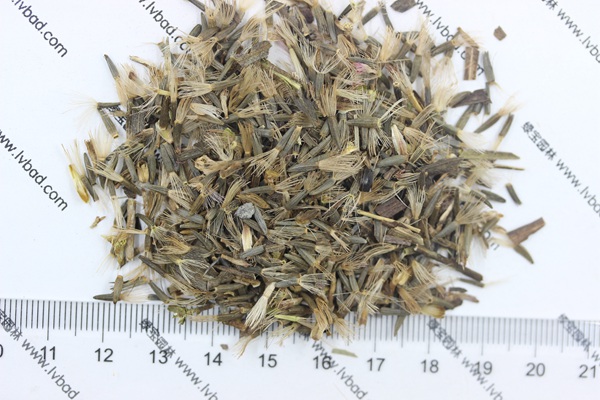 <a href='http://m.wuzhouwash.com/caohuazhongzi/1620.html' target='_blank'>蛇鞭菊種子</a>