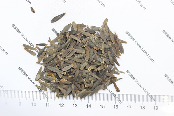 <a href='http://m.wuzhouwash.com/caohuazhongzi/1642.html' target='_blank'>小麗花種子</a>