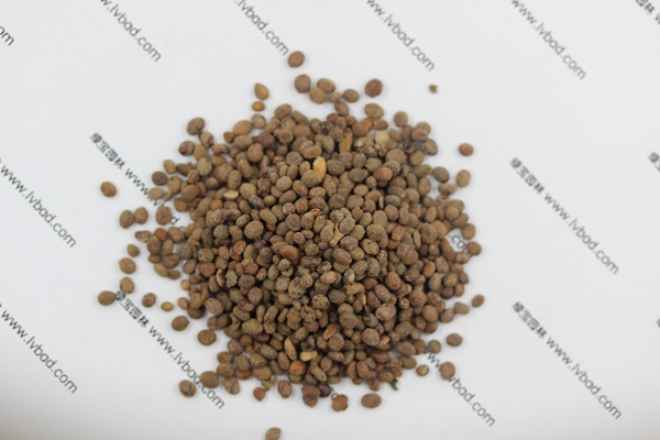 <a href='http://m.wuzhouwash.com/caohuazhongzi/1655.html' target='_blank'>指甲花種子</a>