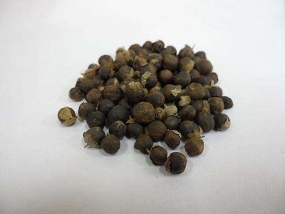 蔓荊子種子
