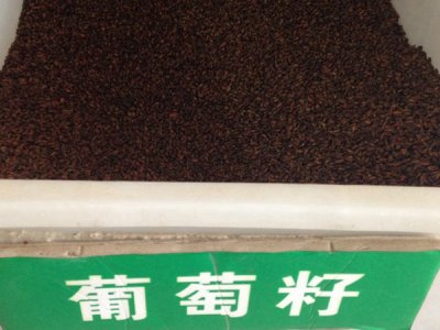 葡萄種子