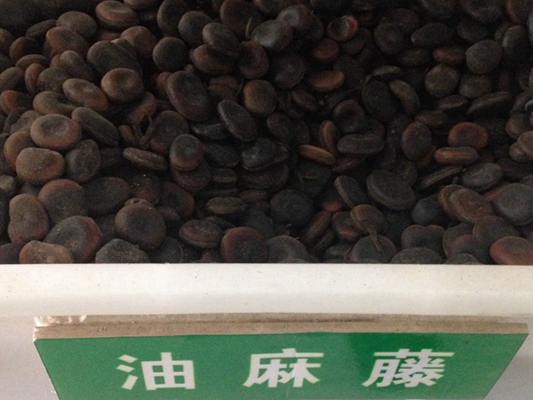 <a href='http://m.wuzhouwash.com/linmuzhongzi/2188.html' target='_blank'>油麻藤種子</a>