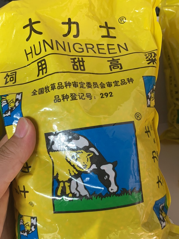 <a href='http://m.wuzhouwash.com/mucaozhongzi/16575.html' target='_blank'>大力士甜高粱</a><a href='http://m.wuzhouwash.com/' target='_blank'>種子</a>
