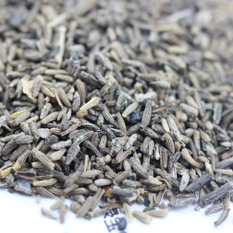 <a href='http://m.wuzhouwash.com/caohuazhongzi/23058.html' target='_blank'>白晶菊</a><a href='http://m.wuzhouwash.com/' target='_blank'>種子</a>
