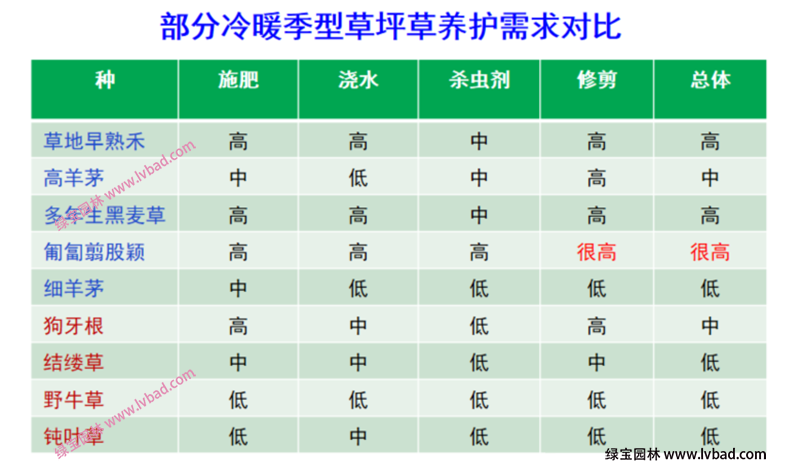 常用冷季型草坪養(yǎng)護難易度需求對比