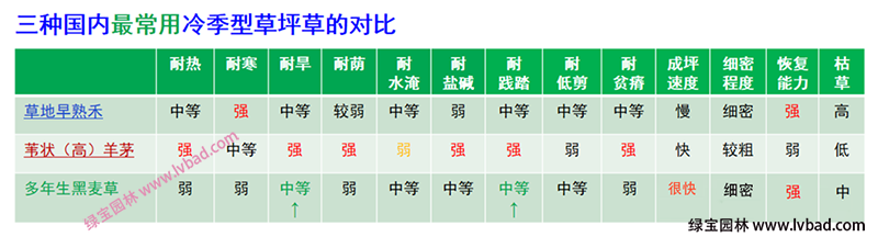 常用冷季型草坪生長特性對比