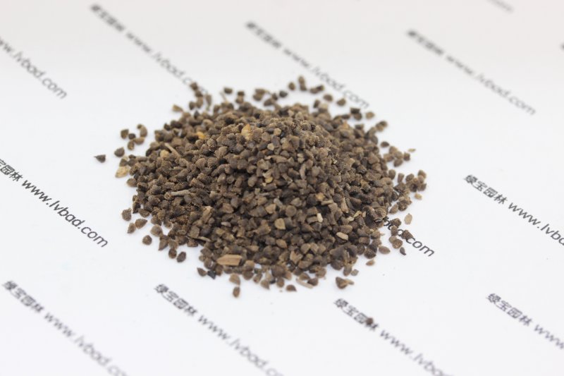 <a href='http://m.wuzhouwash.com/caohuazhongzi/1045.html' target='_blank'>飛燕草</a><a href='http://m.wuzhouwash.com/' target='_blank'>種子</a>