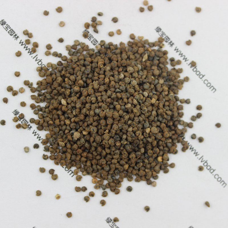 <a href='http://m.wuzhouwash.com/caohuazhongzi/1659.html' target='_blank'>醉蝶花種子</a>