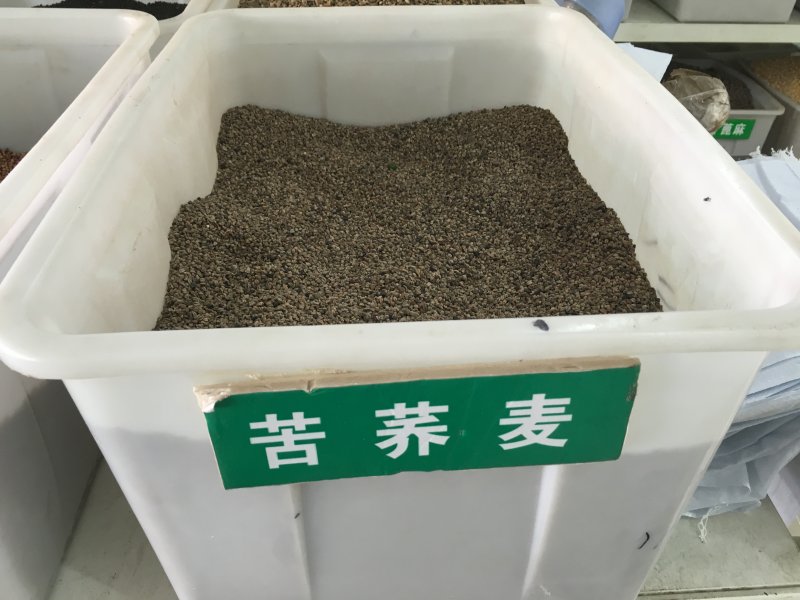 <a href='http://m.wuzhouwash.com/yaocaizhongzi/2311.html' target='_blank'>蕎麥種子</a>