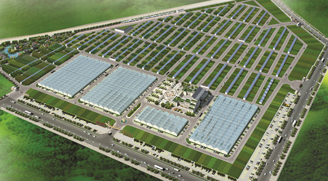 沭陽縣華東花木大世界2022年新建的花木交易市場(chǎng)