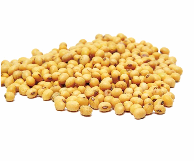 黃豆